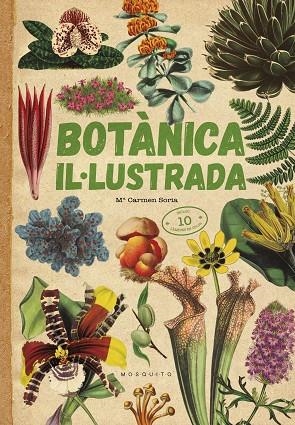 BOTÀNICA IL·LUSTRADA | 9788419095091 | SORIA, CARMEN | Llibreria La Gralla | Librería online de Granollers