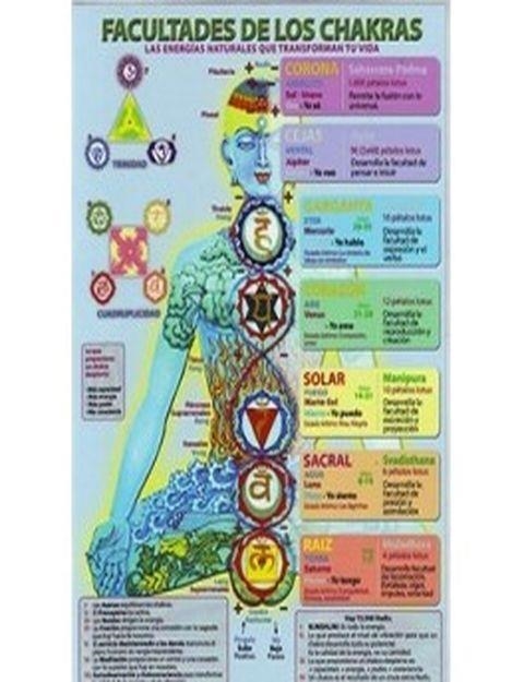 FACULTADES DE LOS CHAKRAS | 8436005164478 | VARIS | Llibreria La Gralla | Llibreria online de Granollers