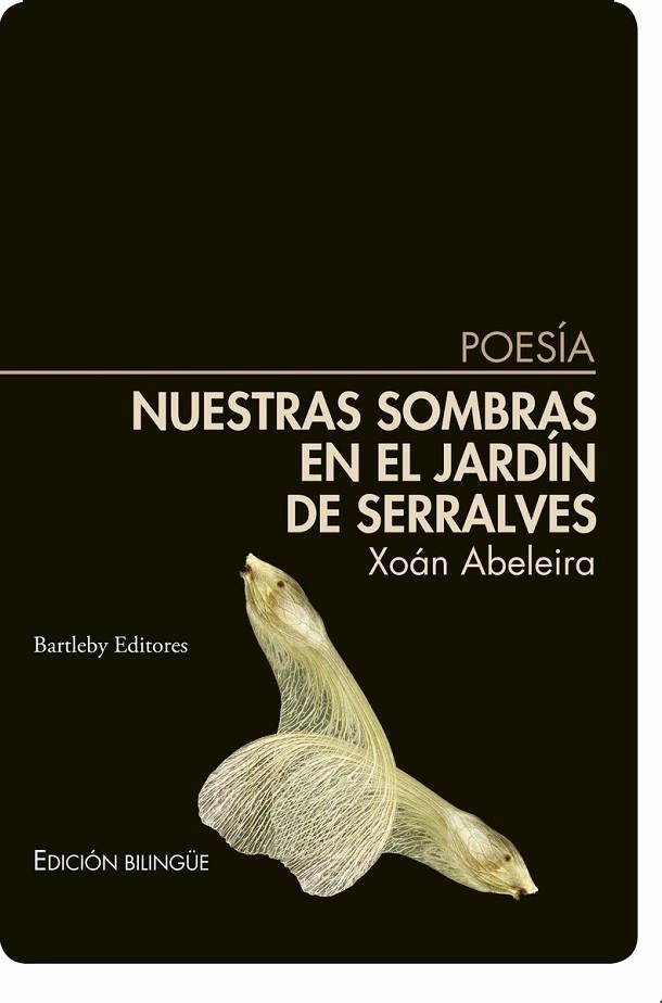 NUESTRAS SOMBRAS EN EL JARDIN DE SERRALVES | 9788412412918 | ABELEIRA, XOÁN | Llibreria La Gralla | Llibreria online de Granollers
