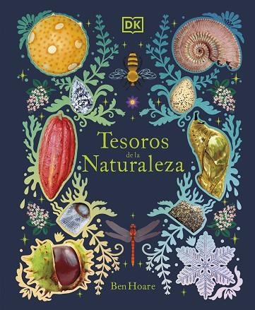 TESOROS DE LA NATURALEZA | 9780241583371 | BEN HOARE | Llibreria La Gralla | Librería online de Granollers