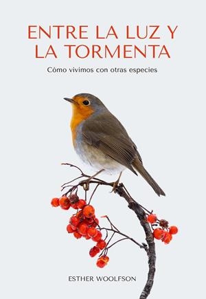 ENTRE LA LUZ Y LA TORMENTA | 9788412566338 | WOOLFSON, ESTHER | Llibreria La Gralla | Librería online de Granollers
