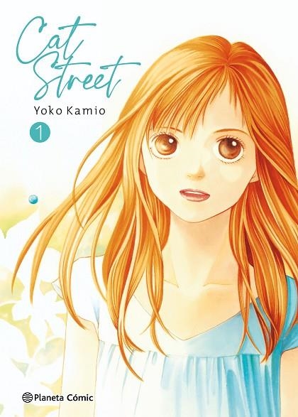 CAT STREET Nº 01/04 | 9788491534624 | KAMIO, YOKO | Llibreria La Gralla | Librería online de Granollers