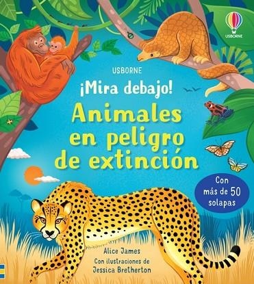 ANIMALES EN PELIGRO DE EXTINCION | 9781803703121 | JAMES, ALICE | Llibreria La Gralla | Llibreria online de Granollers