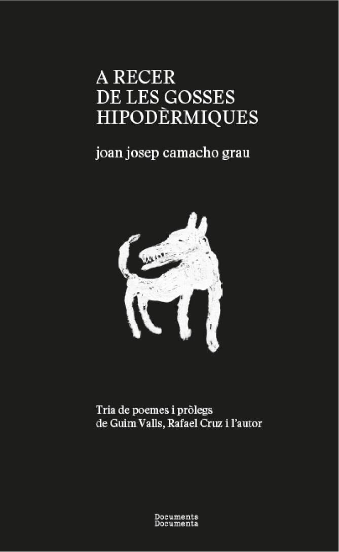 A RECER DE LES GOSSES HIPODÈRMIQUES | 9788412258257 | CAMACHO GRAU, JOAN JOSEP | Llibreria La Gralla | Librería online de Granollers