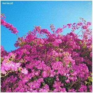 LP (PAU VALLVÉ) | 8435307615084 | VALLVE, PAU | Llibreria La Gralla | Llibreria online de Granollers