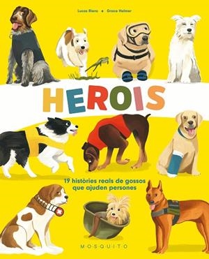 HEROIS | 9788419095046 | RIERA, LUCAS | Llibreria La Gralla | Librería online de Granollers
