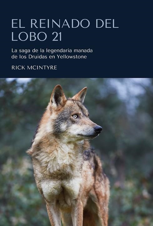 REINADO DEL LOBO 21, EL | 9788412566321 | MCINTYRE, RICK | Llibreria La Gralla | Llibreria online de Granollers