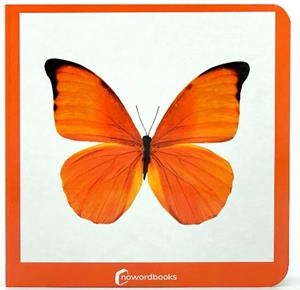 NARANJA | 9788412534443 | NOWORDBOOKS | Llibreria La Gralla | Llibreria online de Granollers