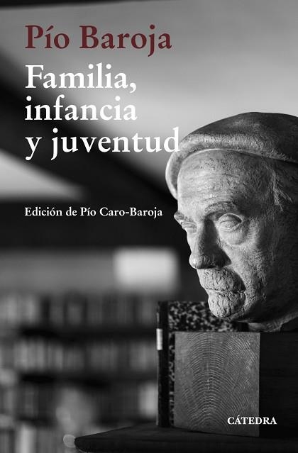 FAMILIA, INFANCIA Y JUVENTUD | 9788437645148 | BAROJA, PÍO | Llibreria La Gralla | Llibreria online de Granollers