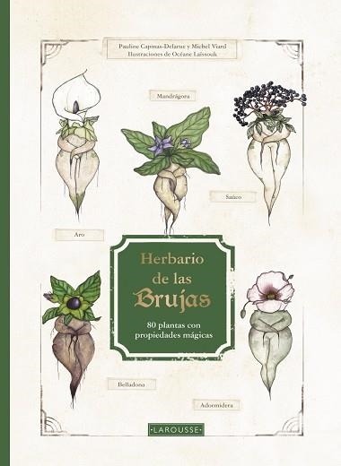 HERBARIO DE LAS BRUJAS | 9788419250926 | CAPMAS-DELARUE, PAULINE ; VIARD, MICHEL | Llibreria La Gralla | Librería online de Granollers