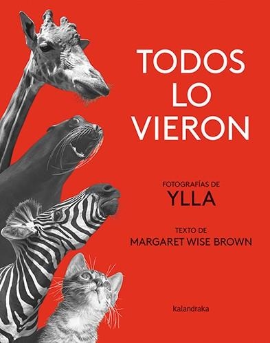 TODOS LO VIERON | 9788413431840 | BROWN, MARGARET WISE | Llibreria La Gralla | Librería online de Granollers