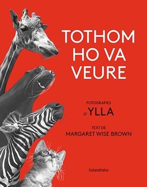 TOTHOM HO VA VEURE | 9788418558580 | BROWN, MARGARET WISE | Llibreria La Gralla | Librería online de Granollers