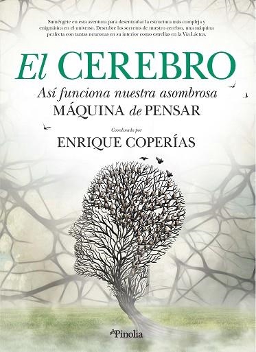 CEREBRO, EL | 9788412336559 | ENRIQUE MANUEL COPERÍAS JIMÉNEZ | Llibreria La Gralla | Llibreria online de Granollers