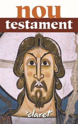 NOU TESTAMENT | 9788491360353 | SIDERA PLANA, JAUME | Llibreria La Gralla | Librería online de Granollers