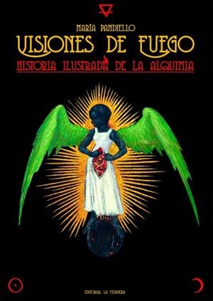 VISIONES DE FUEGO | 9788412466973 | PANDIELLO, MARÍA | Llibreria La Gralla | Librería online de Granollers