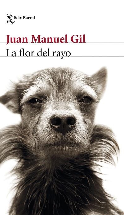 FLOR DEL RAYO, LA | 9788432241574 | GIL, JUAN MANUEL | Llibreria La Gralla | Llibreria online de Granollers