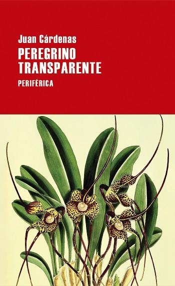 PEREGRINO TRANSPARENTE | 9788418838620 | CÁRDENAS, JUAN | Llibreria La Gralla | Llibreria online de Granollers