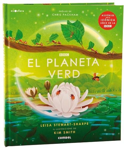 PLANETA VERD, EL | 9788491019220 | Llibreria La Gralla | Librería online de Granollers