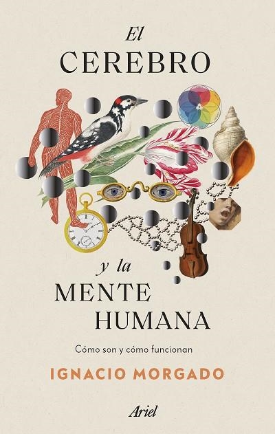 CEREBRO Y LA MENTE HUMANA, EL | 9788434435988 | MORGADO, IGNACIO | Llibreria La Gralla | Librería online de Granollers