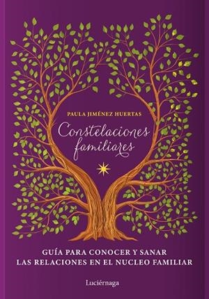 CONSTELACIONES FAMILIARES | 9788419164377 | JIMÉNEZ HUERTAS, PAULA | Llibreria La Gralla | Librería online de Granollers