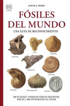 FÓSILES DEL MUNDO | 9788428217569 | WARD, DAVID J. | Llibreria La Gralla | Librería online de Granollers