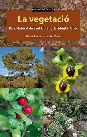 VEGETACIÓ, LA PARC NATURAL DE SANT LLORENÇ DEL MUNT I L'OBAC | 9788417116705 | PAMPLONA, MERTXE; VICENS, ALBERT | Llibreria La Gralla | Librería online de Granollers