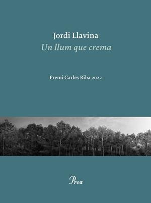 UN LLUM QUE CREMA | 9788475889979 | LLAVINA, JORDI | Llibreria La Gralla | Llibreria online de Granollers