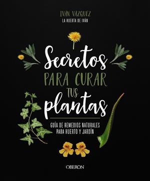 SECRETOS PARA CURAR TUS PLANTAS | 9788441547162 | VÁZQUEZ MUÑOZ, IVÁN | Llibreria La Gralla | Llibreria online de Granollers