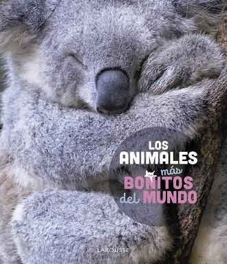 LOS ANIMALES MÁS BONITOS DEL MUNDO | 9788419436177 | LEDU, STÉPHANIE | Llibreria La Gralla | Llibreria online de Granollers