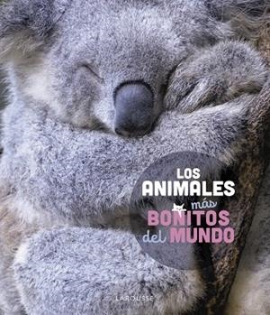 LOS ANIMALES MÁS BONITOS DEL MUNDO | 9788419436177 | LEDU, STÉPHANIE | Llibreria La Gralla | Llibreria online de Granollers