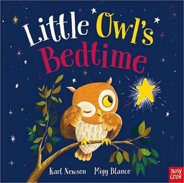 LITTLE OWL'S BEDTIME | 9781839948893 | NEWSON KARL | Llibreria La Gralla | Llibreria online de Granollers