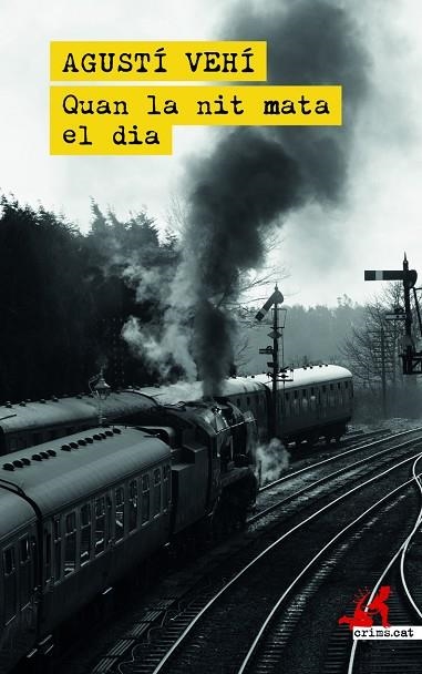 QUAN LA NIT MATA EL DÍA | 9788419627001 | VEHÍ, AGUSTÍ | Llibreria La Gralla | Librería online de Granollers