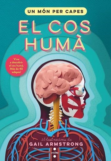 UN MON PER CAPES: COS HUMA | 9788466153904 | SYMONS, RUTH | Llibreria La Gralla | Librería online de Granollers