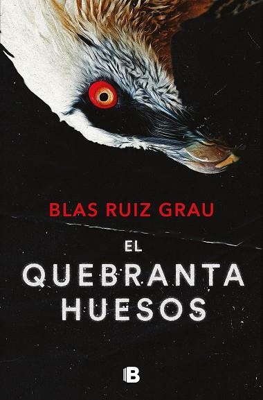 QUEBRANTAHUESOS (NICOLÁS VALDÉS 4), EL | 9788466673600 | RUIZ GRAU, BLAS | Llibreria La Gralla | Llibreria online de Granollers