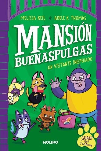 MANSIÓN BUENASPULGAS 1 - UN VISITANTE INESPERADO | 9788427233324 | KEIL, MELISSA | Llibreria La Gralla | Llibreria online de Granollers