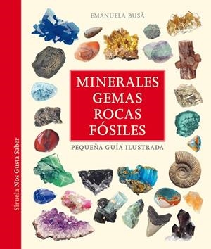 MINERALES, GEMAS, ROCAS Y FÓSILES | 9788419419866 | BUSÀ, EMANUELA | Llibreria La Gralla | Librería online de Granollers