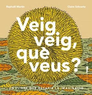 VEIG VEIG, QUÈ VEUS? | 9788412570564 | MARTIN, RAPHAËL | Llibreria La Gralla | Librería online de Granollers