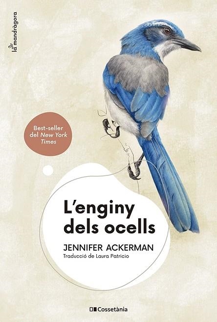 ENGINY DELS OCELLS, L' | 9788413562544 | ACKERMAN, JENNIFER | Llibreria La Gralla | Librería online de Granollers