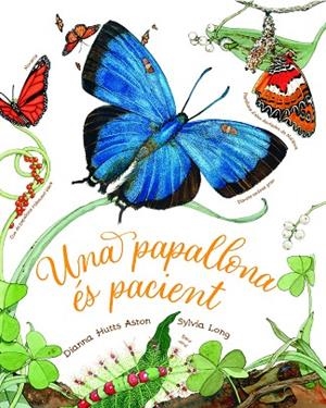 UNA PAPALLONA ÉS PACIENT | 9788418900471 | HUTTS ASTON, DIANNA | Llibreria La Gralla | Librería online de Granollers
