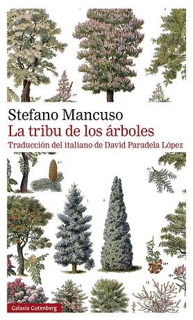 TRIBU DE LOS ÁRBOLES, LA  | 9788419392510 | MANCUSO, STEFANO | Llibreria La Gralla | Llibreria online de Granollers