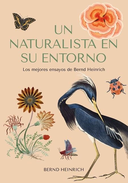 NATURALISTA EN SU ENTORNO, UN  | 9788412618488 | HEINRICH, BERND | Llibreria La Gralla | Librería online de Granollers