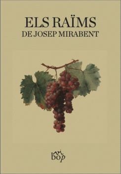 RAÏMS, ELS  | 9788412619737 | MIRABENT I GATELL, JOSEP | Llibreria La Gralla | Llibreria online de Granollers