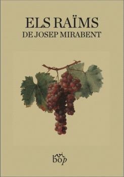 RAÏMS, ELS | 9788412619737 | MIRABENT I GATELL, JOSEP | Llibreria La Gralla | Librería online de Granollers