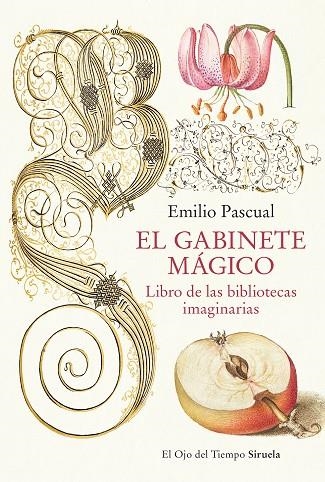 GABINETE MÁGICO, EL  | 9788419553041 | PASCUAL, EMILIO | Llibreria La Gralla | Librería online de Granollers