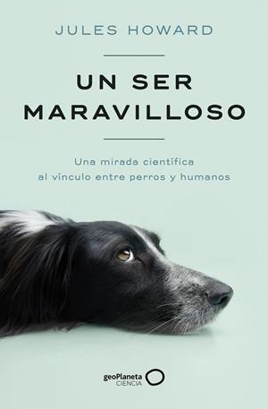 UN SER MARAVILLOSO | 9788408269328 | HOWARD, JULES | Llibreria La Gralla | Librería online de Granollers