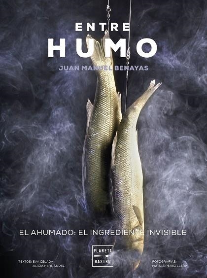 ENTRE HUMO | 9788408271048 | BENAYAS, JUAN MANUEL | Llibreria La Gralla | Llibreria online de Granollers