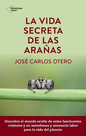VIDA SECRETA DE LAS ARAÑAS, LA | 9788419655189 | OTERO, JOSÉ CARLOS | Llibreria La Gralla | Librería online de Granollers