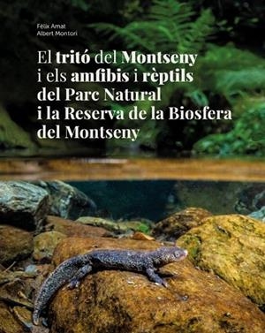 TRITÓ DEL MONTSENY I ELS AMFIBIS I RÈPTILS DEL PARC NATURAL I LA RESERVA DE LA BIOSFERA DEL MONTSENY | 9788487790942 | AMAT ORRIOLS, FÈLIX / MONTORI FAURA, ALBERT | Llibreria La Gralla | Llibreria online de Granollers