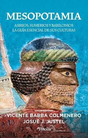 MESOPOTAMIA | 9788418965784 | BARBA COLMENERO, VICENTE | Llibreria La Gralla | Llibreria online de Granollers