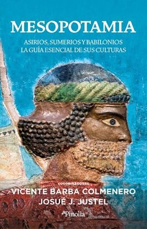 MESOPOTAMIA | 9788418965784 | BARBA COLMENERO, VICENTE | Llibreria La Gralla | Librería online de Granollers